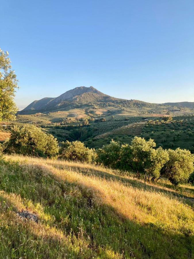 Apartamento Completo En Sierra Sur Villanueva de San Juan Esterno foto