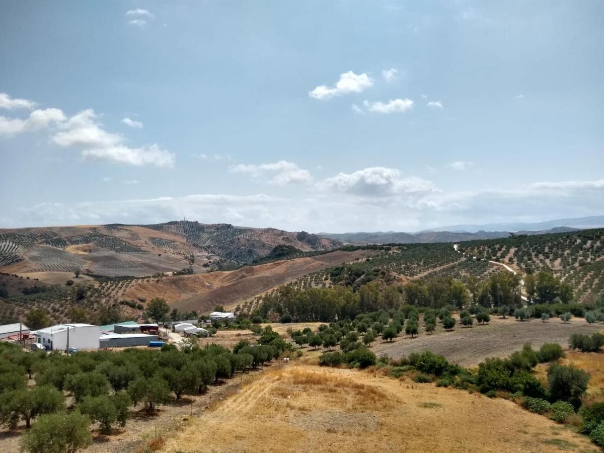 Apartamento Completo En Sierra Sur Villanueva de San Juan Esterno foto
